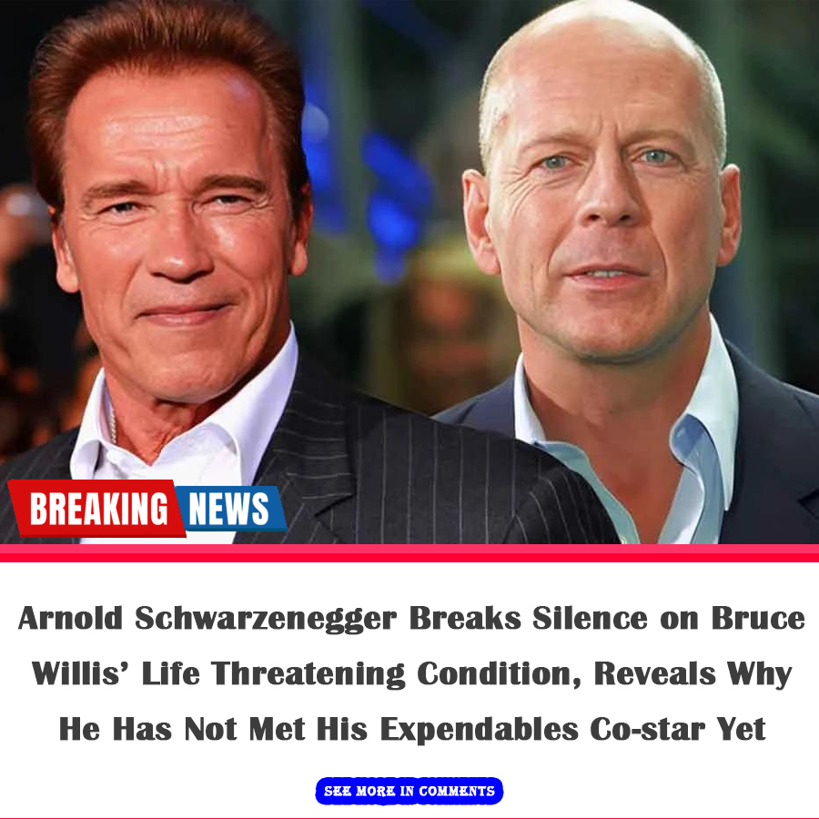 Arnold Schwarzenegger Reveals Shocking News About Bruce Willis and ...